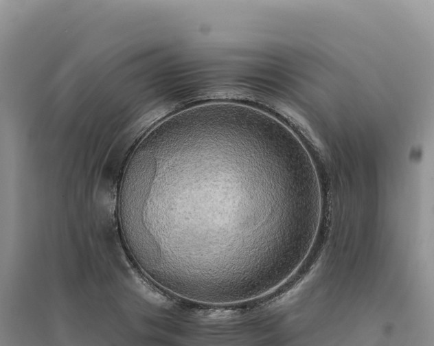 X0000094370841200711091536