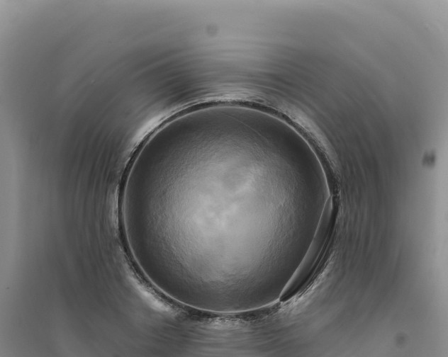 X0000094370842200711091536