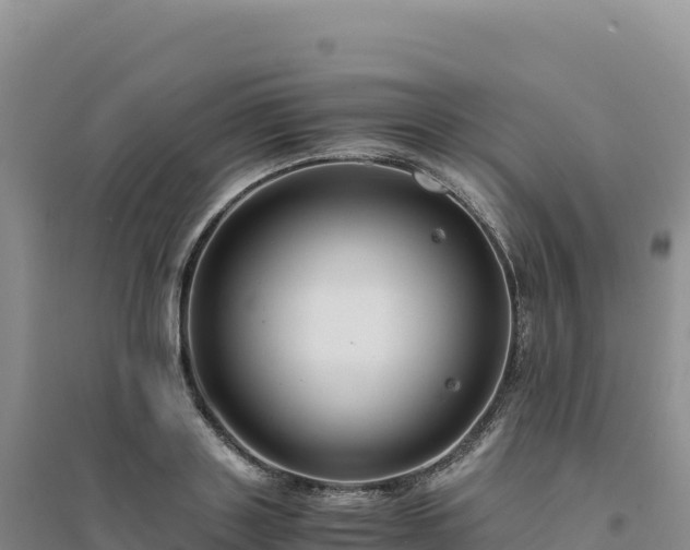 X0000094370843200711091536