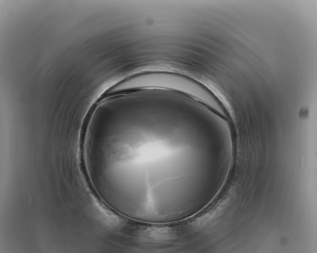 X0000094370845200711091536