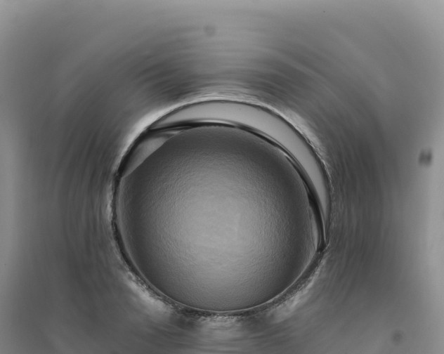 X0000094370846200711091536