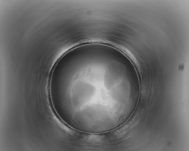 X0000094370847200711091536