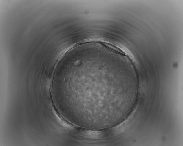 X0000094370849200711091536