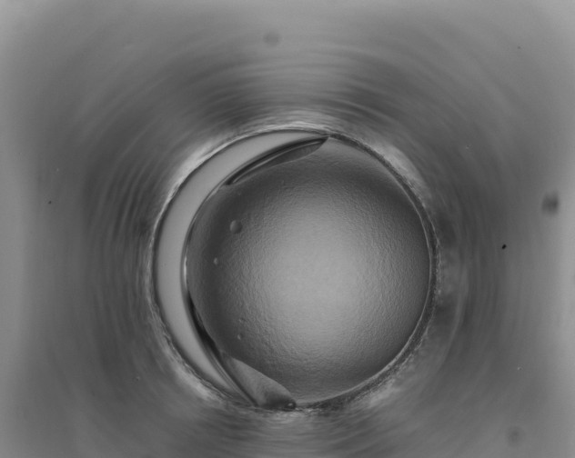 X0000094370850200711091536