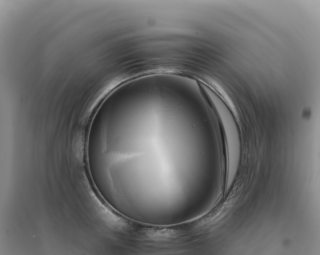 X0000094370851200711091536