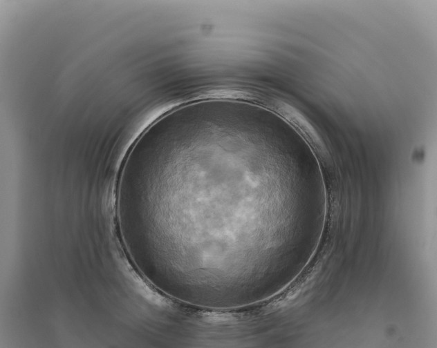 X0000094370852200711091536