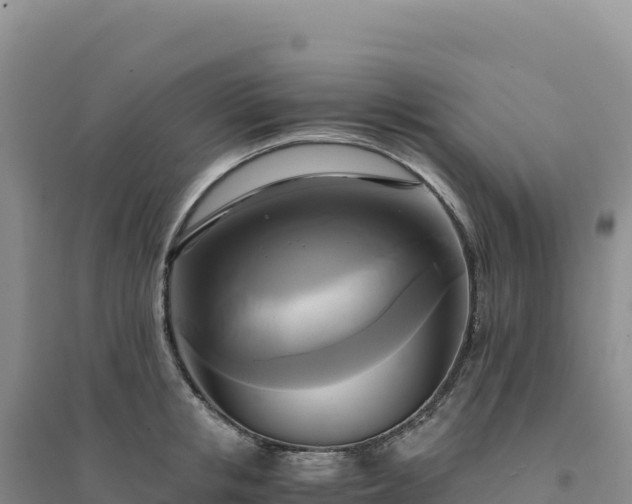 X0000094370853200711091536