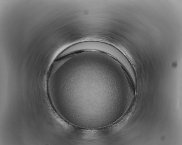 X0000094370854200711091536