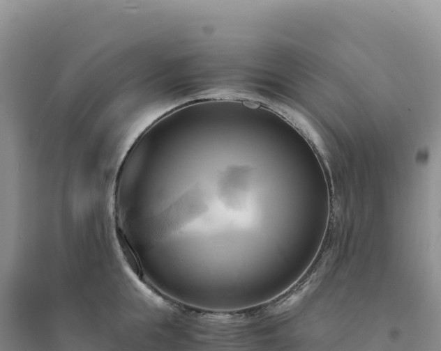 X0000094370855200711091536