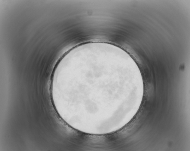 X0000094370856200711091536
