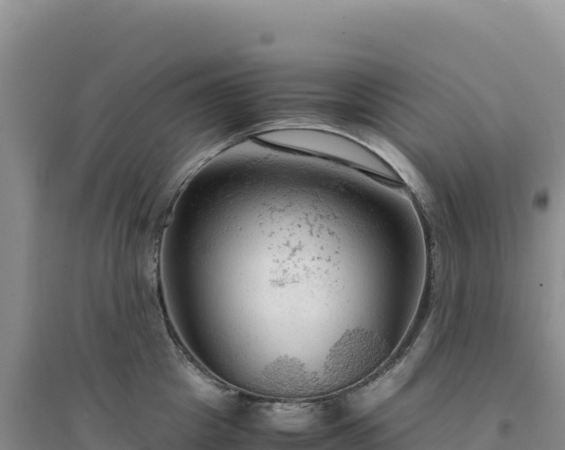X0000094370857200711091536