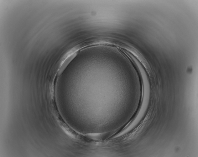 X0000094370858200711091536