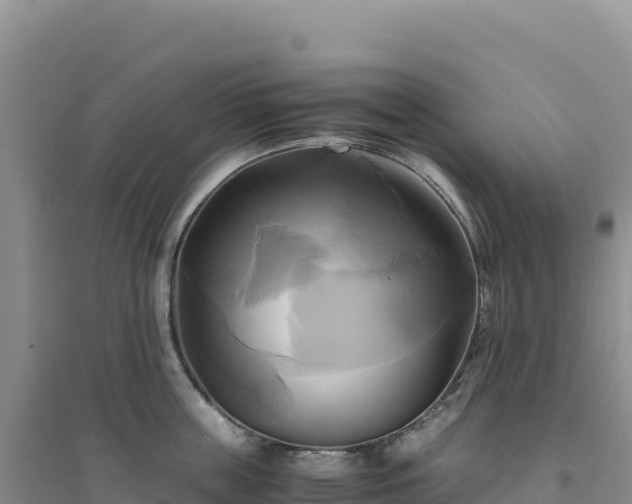 X0000094370859200711091536