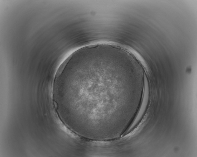 X0000094370860200711091536