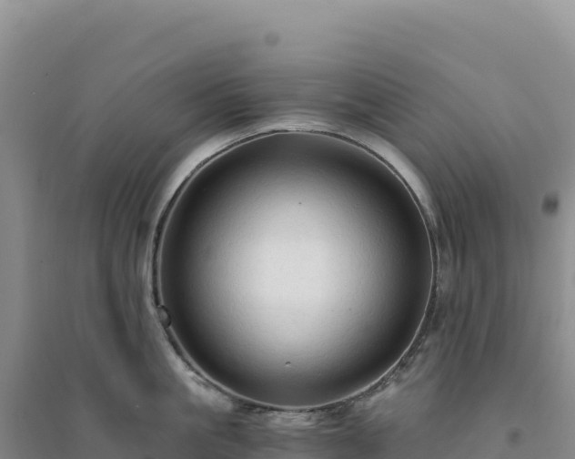 X0000094370861200711091536
