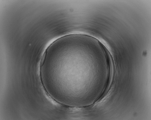 X0000094370862200711091536