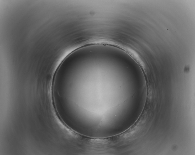 X0000094370863200711091536