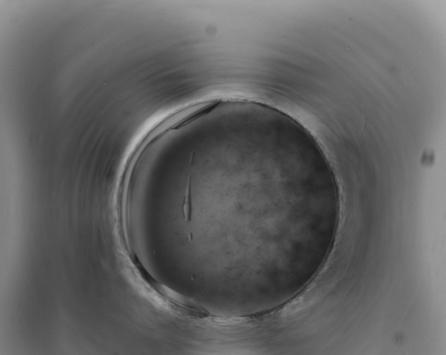 X0000094370864200711091536