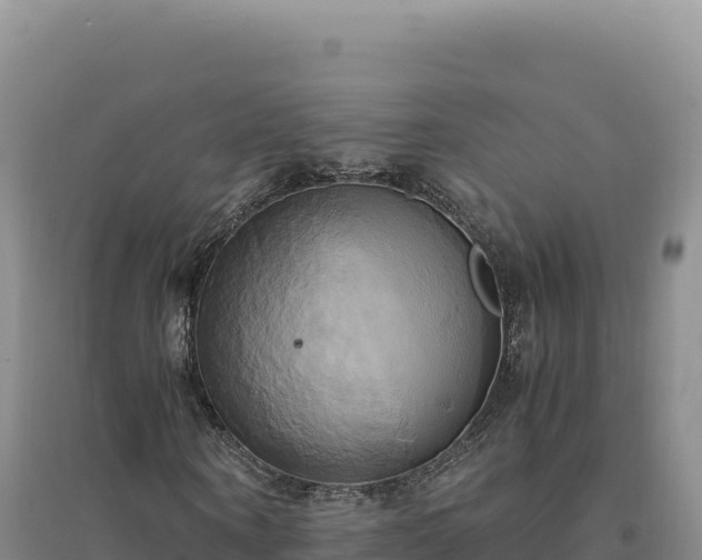 X0000094370866200711091535
