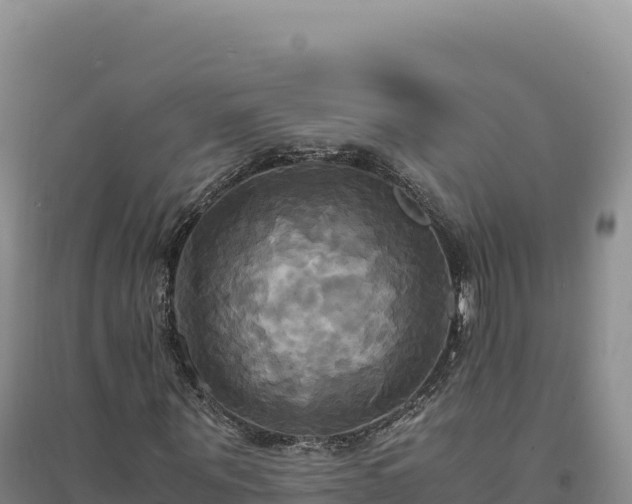 X0000094370867200711091535