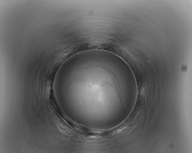X0000094370868200711091535