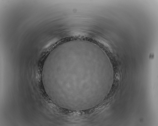 X0000094370869200711091535