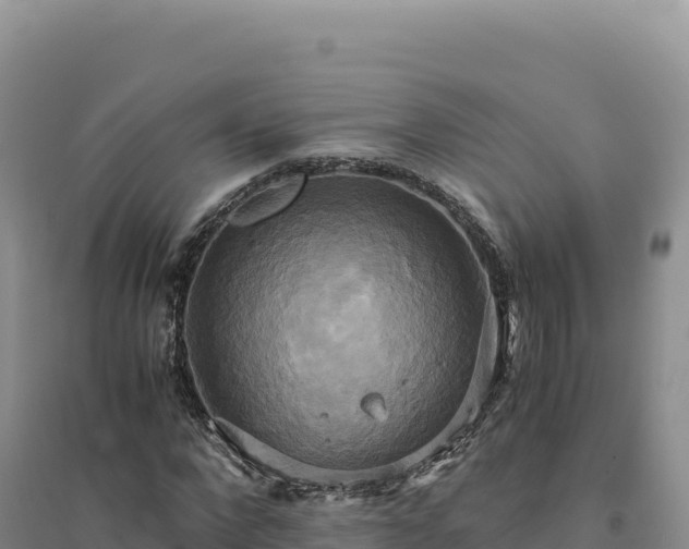 X0000094370872200711091535
