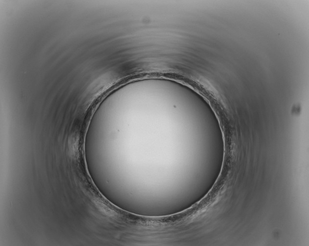 X0000094370873200711091535