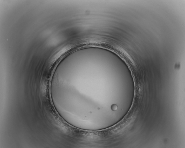 X0000094370874200711091535