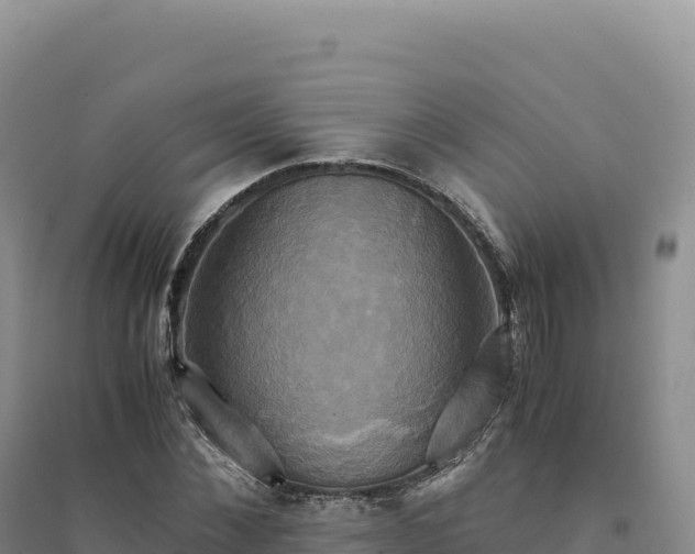 X0000094370876200711091535