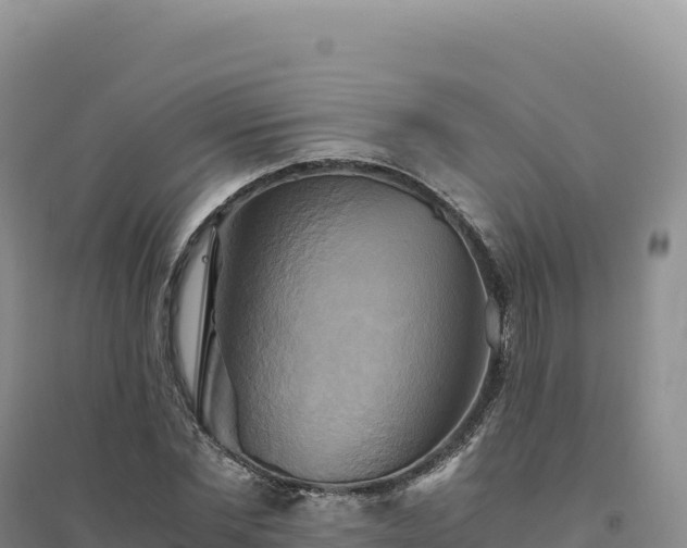 X0000094370877200711091535