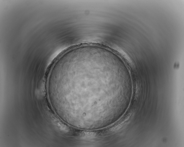 X0000094370878200711091535
