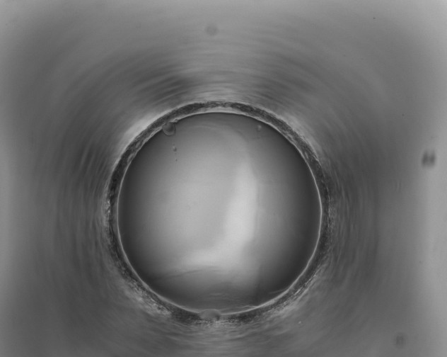 X0000094370879200711091535