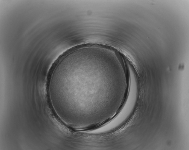 X0000094370880200711091535