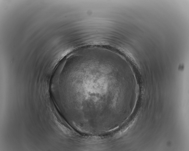 X0000094370881200711091535