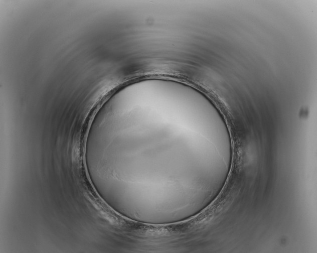 X0000094370882200711091535