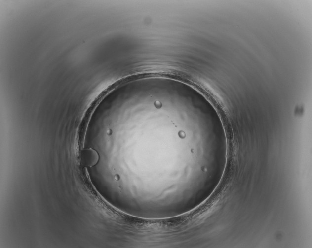 X0000094370883200711091535