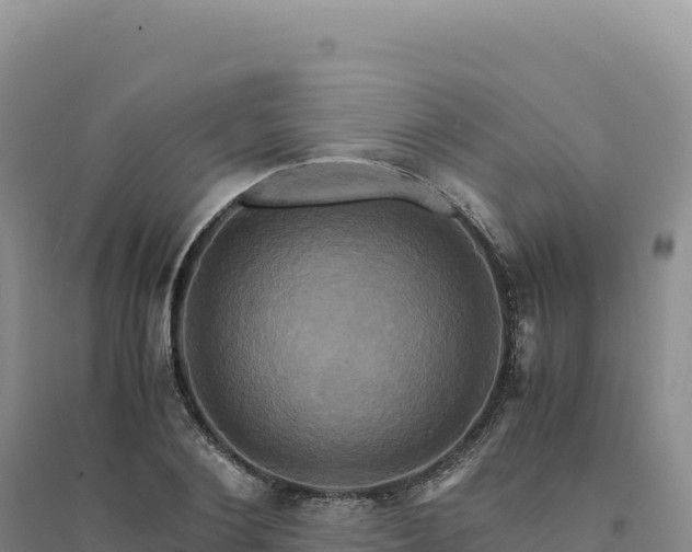 X0000094370884200711091535