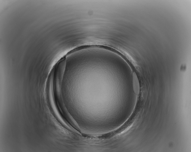 X0000094370885200711091535