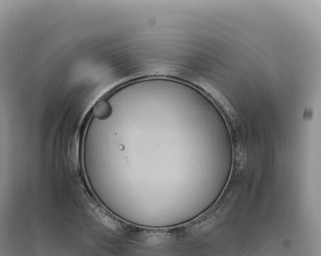 X0000094370886200711091535