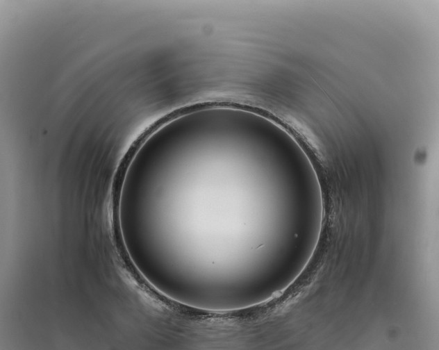 X0000094370888200711091535