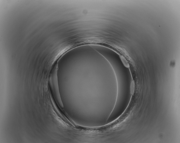 X0000094370889200711091535