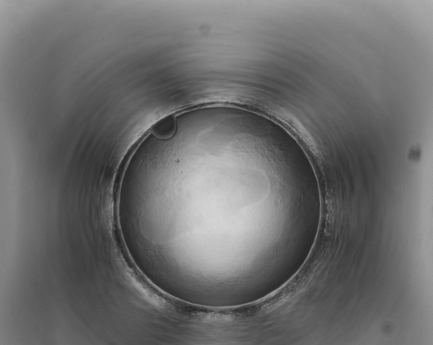X0000094370890200711091535