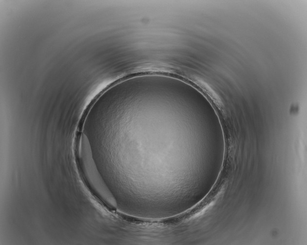 X0000094370893200711091535