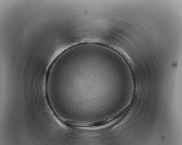 X0000094370894200711091535