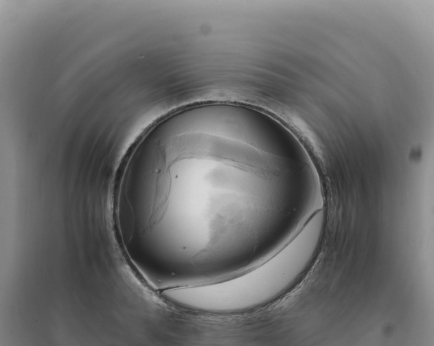 X0000094370896200711091535