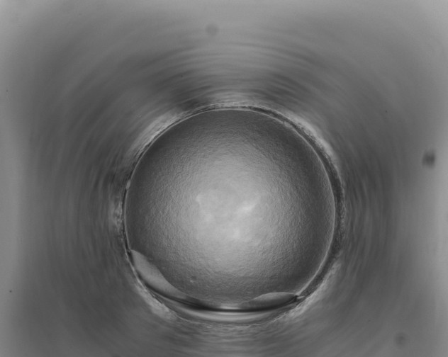 X0000094370897200711091535
