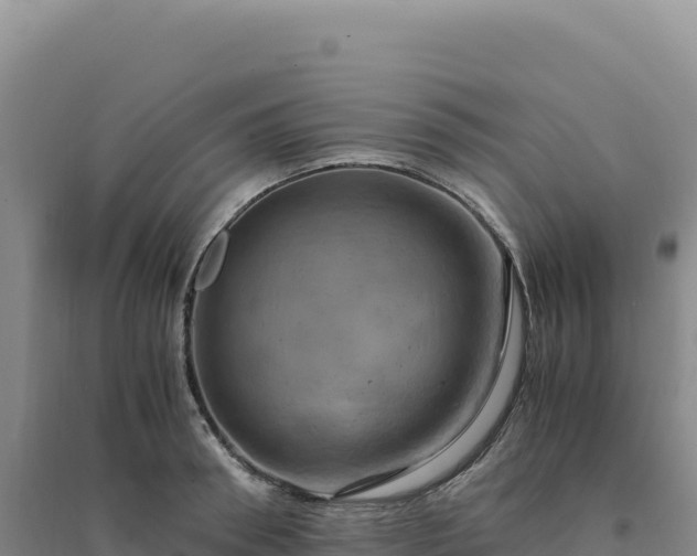 X0000094370898200711091535