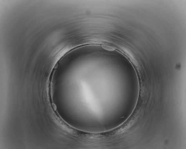 X0000094370899200711091535