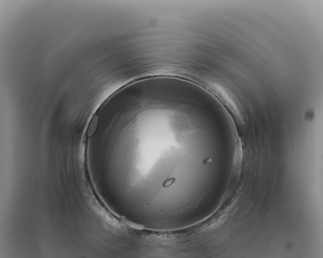 X0000094370900200711091535